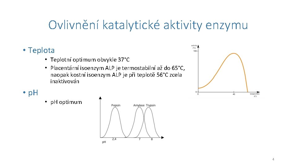 Ovlivnění katalytické aktivity enzymu • Teplota • Teplotní optimum obvykle 37°C • Placentární isoenzym