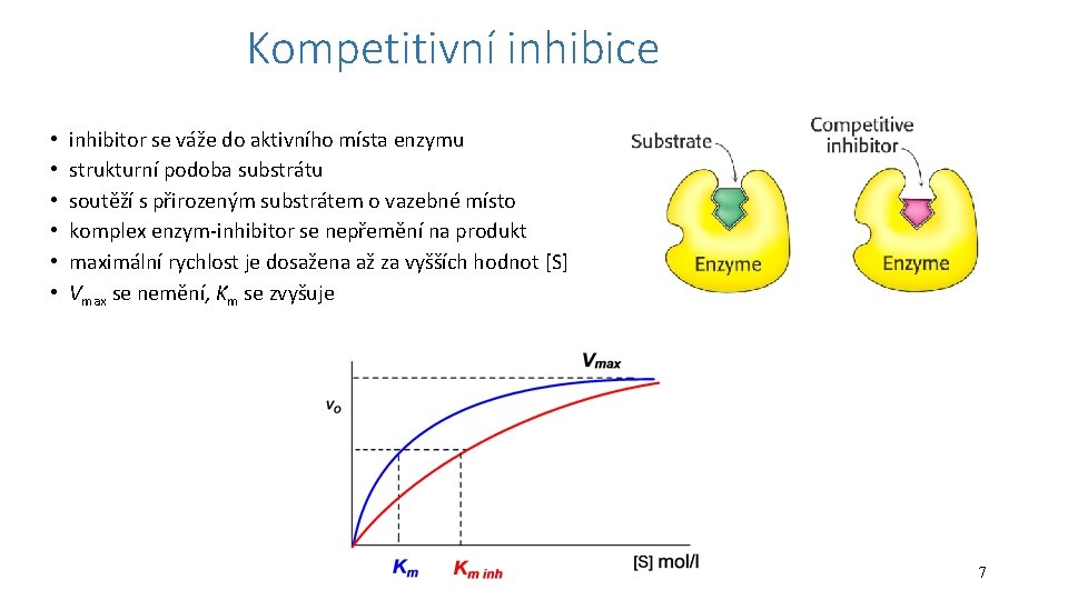 Kompetitivní inhibice • • • inhibitor se váže do aktivního místa enzymu strukturní podoba