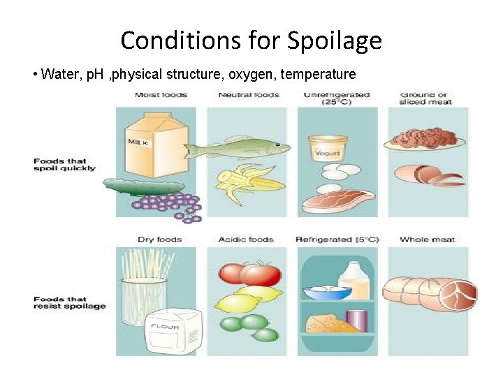 Conditions for Spoilage • Water, p. H , physical structure, oxygen, temperature Water •