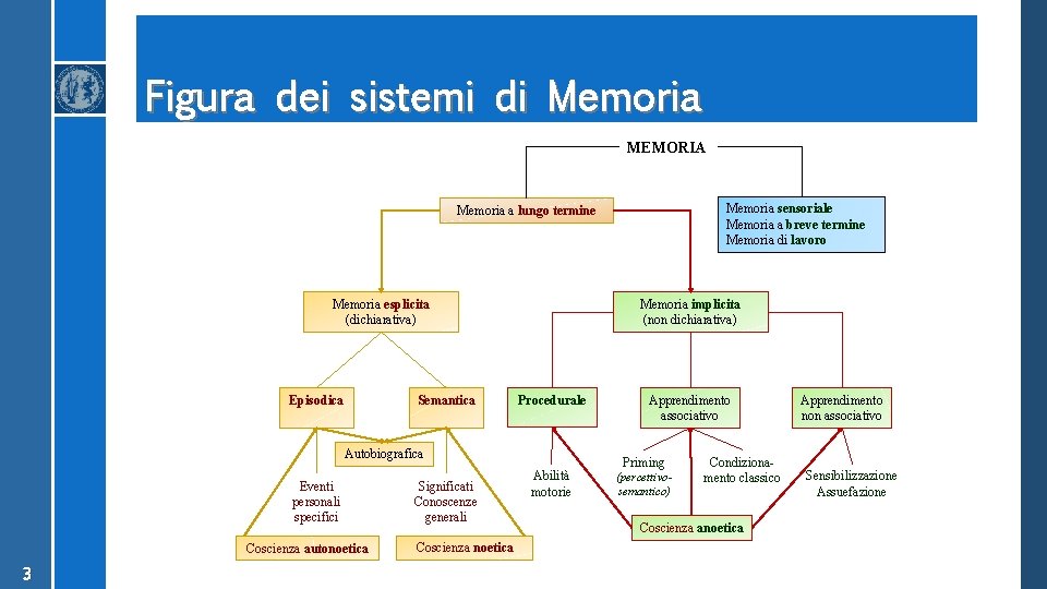 Figura dei sistemi di Memoria MEMORIA Memoria sensoriale Memoria a breve termine Memoria di