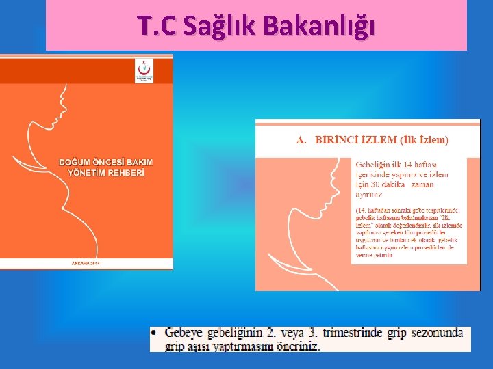 T. C Sağlık Bakanlığı 