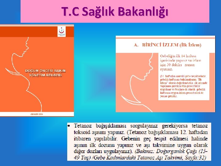 T. C Sağlık Bakanlığı 