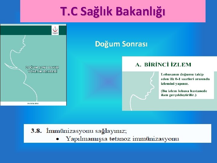 T. C Sağlık Bakanlığı Doğum Sonrası 