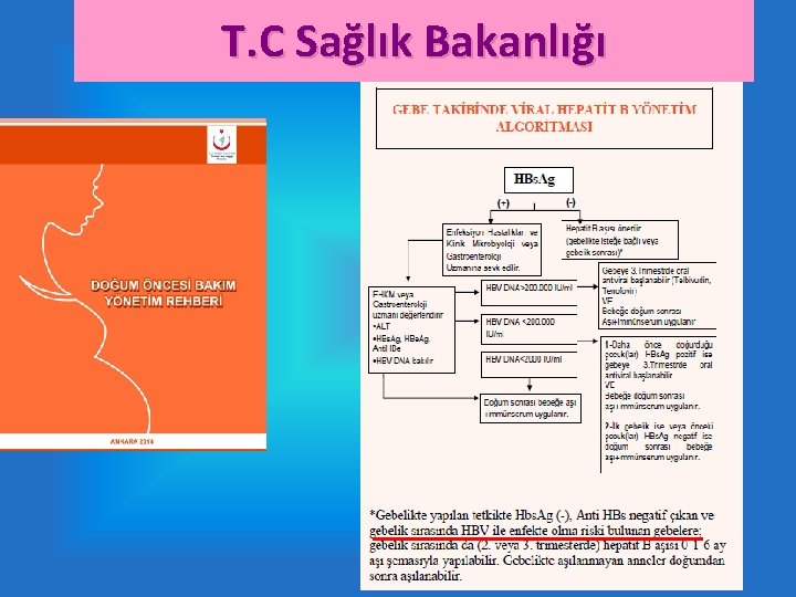 T. C Sağlık Bakanlığı 