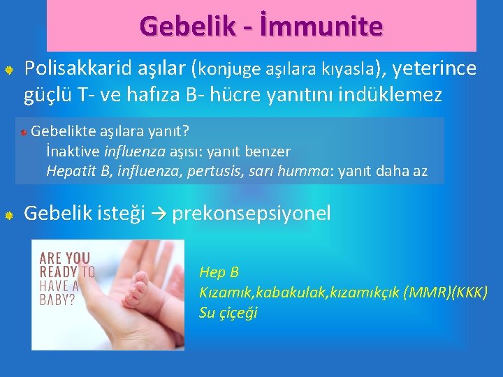 Gebelik - İmmunite Polisakkarid aşılar (konjuge aşılara kıyasla), yeterince güçlü T- ve hafıza B-