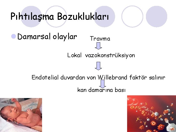 Pıhtılaşma Bozuklukları l Damarsal olaylar Travma Lokal vazokonstrüksiyon Endotelial duvardan von Willebrand faktör salınır