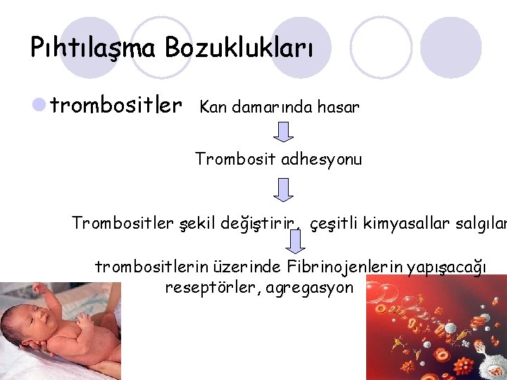 Pıhtılaşma Bozuklukları l trombositler Kan damarında hasar Trombosit adhesyonu Trombositler şekil değiştirir, çeşitli kimyasallar