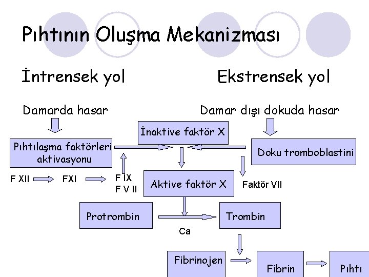Pıhtının Oluşma Mekanizması İntrensek yol Ekstrensek yol Damarda hasar Damar dışı dokuda hasar İnaktive