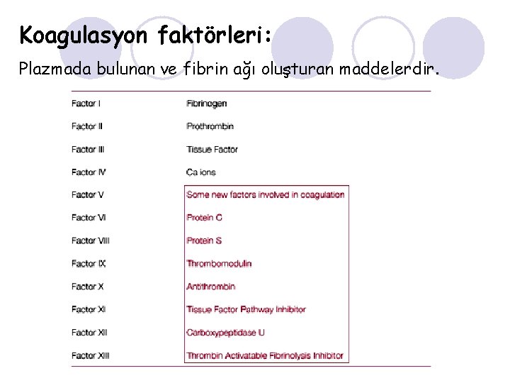 Koagulasyon faktörleri: Plazmada bulunan ve fibrin ağı oluşturan maddelerdir. 