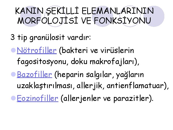 KANIN ŞEKİLLİ ELEMANLARININ MORFOLOJİSİ VE FONKSİYONU 3 tip granülosit vardır: l Nötrofiller (bakteri ve