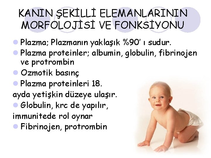 KANIN ŞEKİLLİ ELEMANLARININ MORFOLOJİSİ VE FONKSİYONU l Plazma; Plazmanın yaklaşık %90’ ı sudur. l