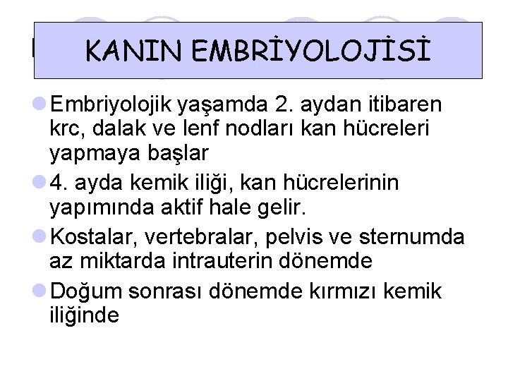 Kanın embriyolojisi KANIN EMBRİYOLOJİSİ l Embriyolojik yaşamda 2. aydan itibaren krc, dalak ve lenf