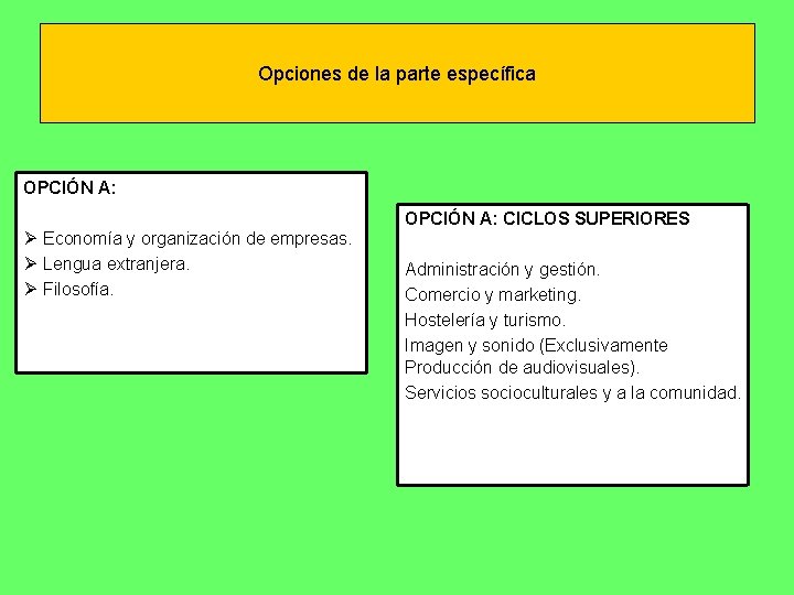 Opciones de la parte específica OPCIÓN A: Ø Economía y organización de empresas. Ø