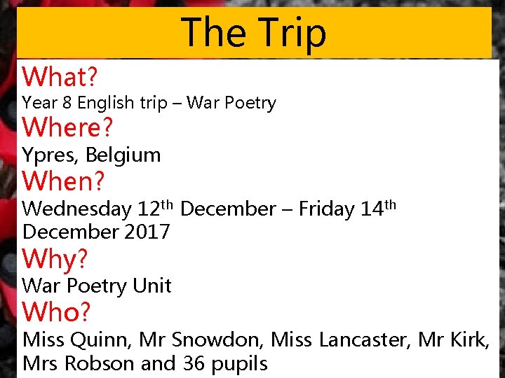 The Trip What? Year 8 English trip – War Poetry Where? Ypres, Belgium When? The Trip What? Year 8 English trip – War Poetry Where? Ypres, Belgium When?