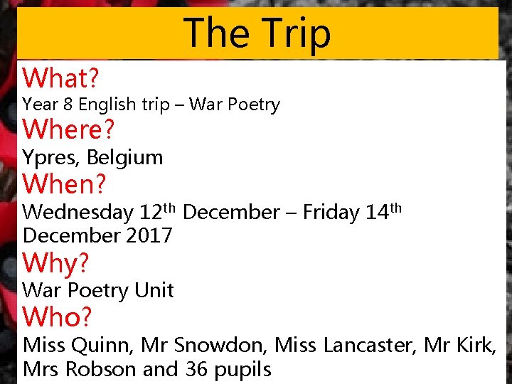 The Trip What? Year 8 English trip – War Poetry Where? Ypres, Belgium When?