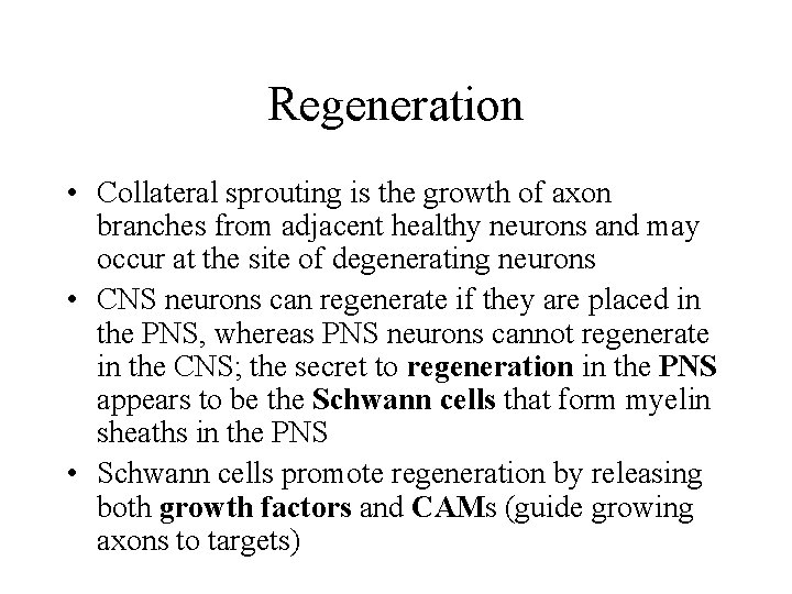 Regeneration • Collateral sprouting is the growth of axon branches from adjacent healthy neurons