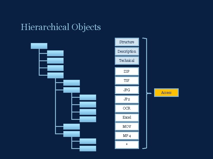 Hierarchical Objects Structure Description Technical ZIP TIF JPG JP 2 OCR Excel MOV MP
