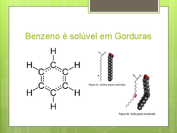 Benzeno é solúvel em Gorduras 