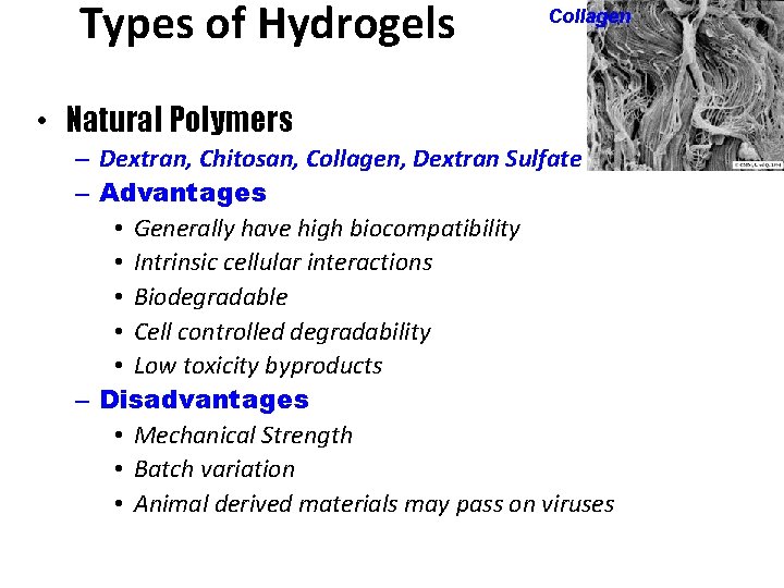 Types of Hydrogels Collagen • Natural Polymers – Dextran, Chitosan, Collagen, Dextran Sulfate –