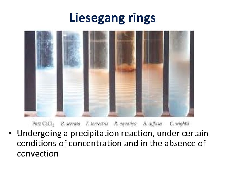 Liesegang rings • Undergoing a precipitation reaction, under certain conditions of concentration and in