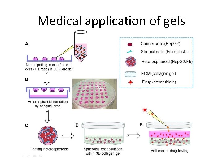Medical application of gels 