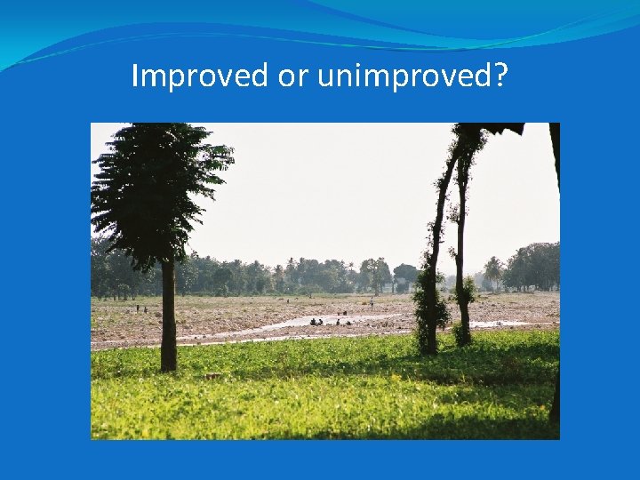 Improved or unimproved? Improved or unimproved?