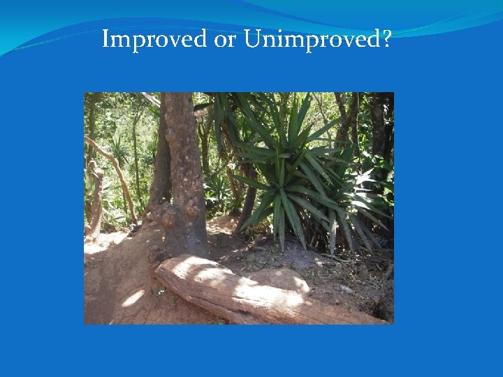 Improved or Unimproved? Improved or Unimproved?