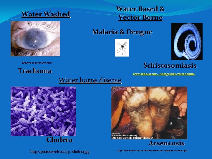 Water Washed Water Based & Vector Borne Malaria & Dengue Schistosomiasis 1000 wells. com/why.