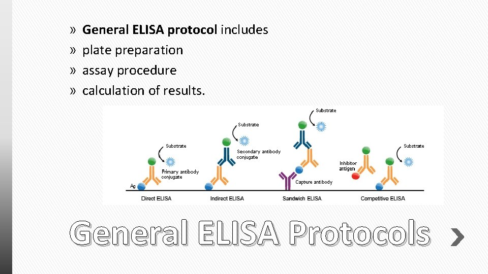 » » General ELISA protocol includes plate preparation assay procedure calculation of results. General