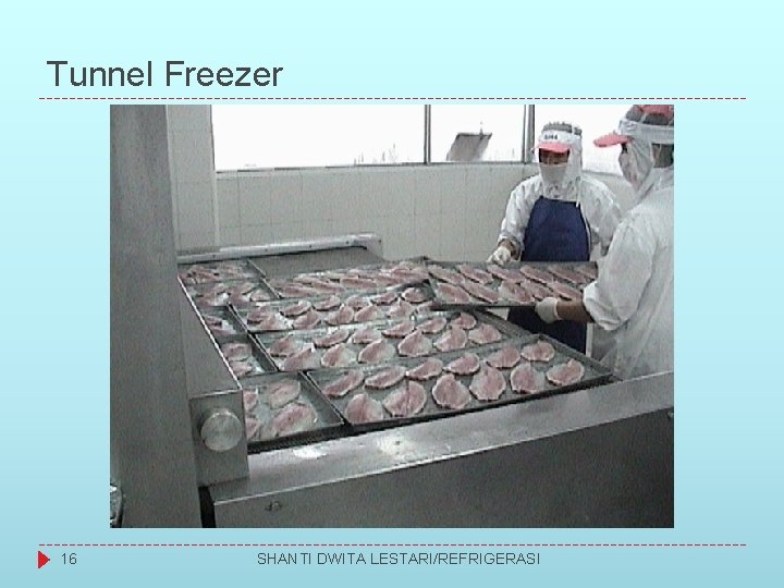 Tunnel Freezer 16 SHANTI DWITA LESTARI/REFRIGERASI 