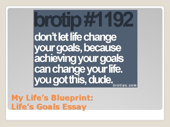 My Life’s Blueprint: Life’s Goals Essay 