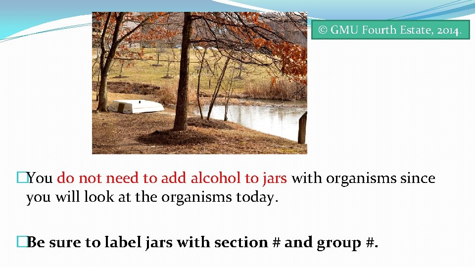 © GMU Fourth Estate, 2014. �You do not need to add alcohol to jars