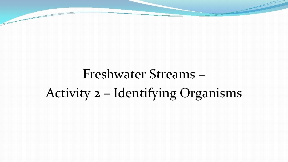 Freshwater Streams – Activity 2 – Identifying Organisms 