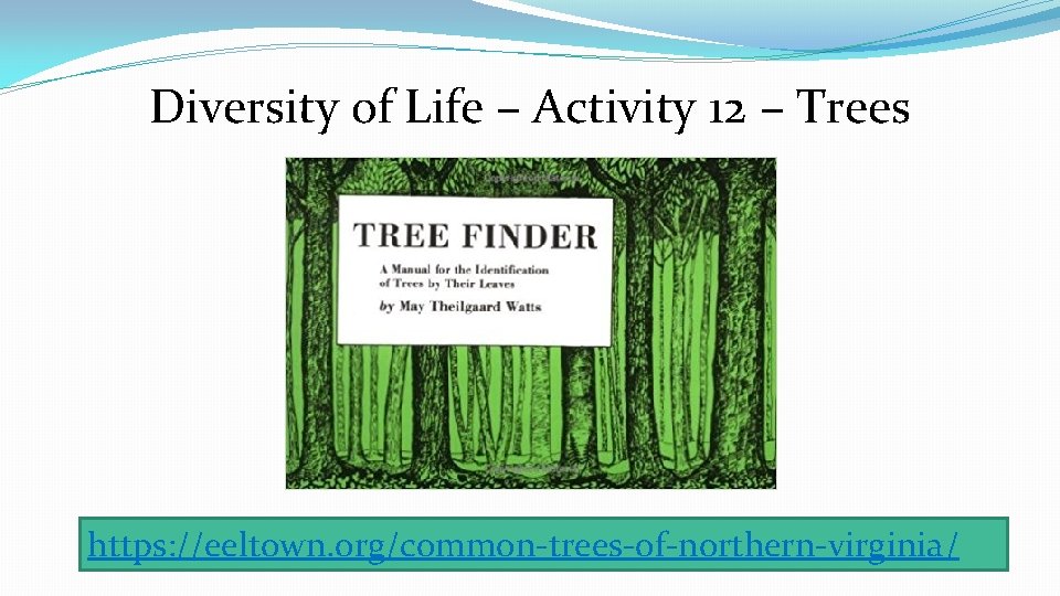 Diversity of Life – Activity 12 – Trees https: //eeltown. org/common-trees-of-northern-virginia/ 