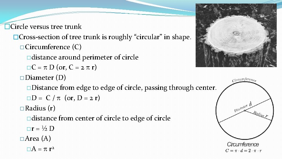 �Circle versus tree trunk �Cross-section of tree trunk is roughly “circular” in shape. �