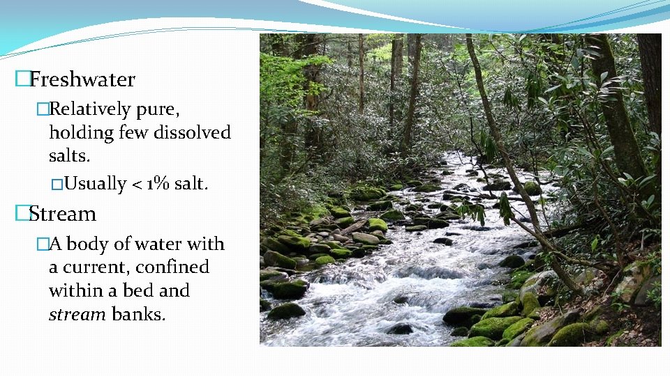 �Freshwater �Relatively pure, holding few dissolved salts. �Usually < 1% salt. �Stream �A body