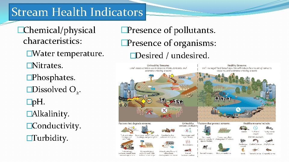 Stream Health Indicators �Chemical/physical characteristics: �Water temperature. �Nitrates. �Phosphates. �Dissolved O 2. �p. H.