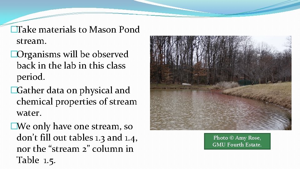 �Take materials to Mason Pond stream. �Organisms will be observed back in the lab