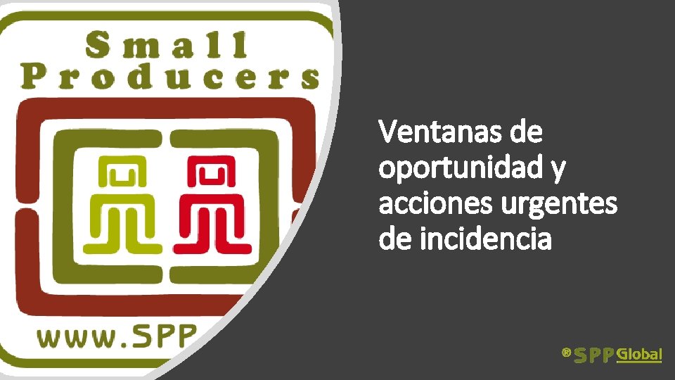 Ventanas de oportunidad y acciones urgentes de incidencia 