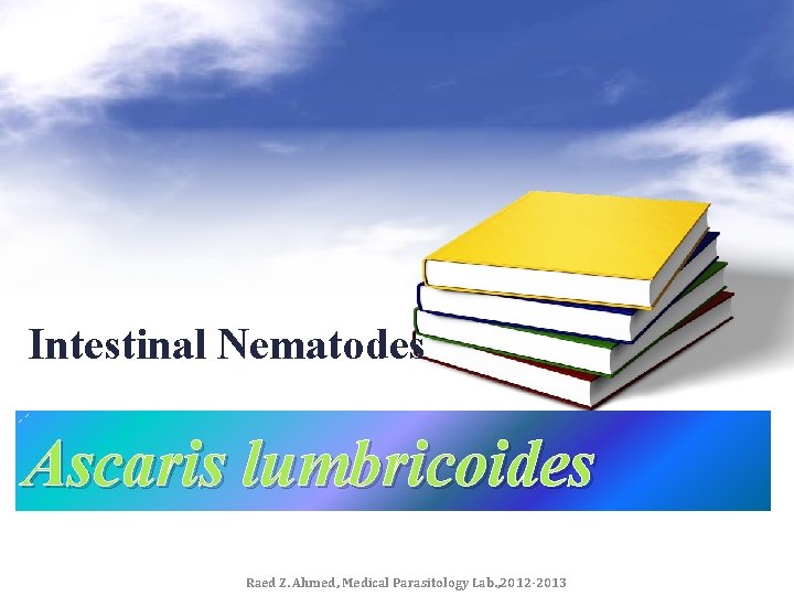 Intestinal Nematodes Ascaris lumbricoides Raed Z. Ahmed, Medical Parasitology Lab. , 2012 -2013 
