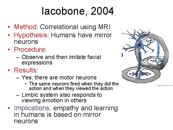 Iacobone, 2004 • Method: Correlational using MRI • Hypothesis: Humans have mirror neurons •