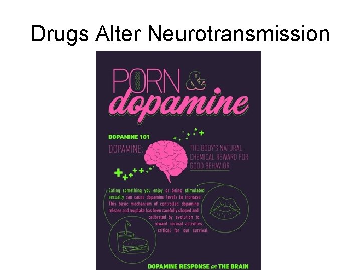 Drugs Alter Neurotransmission 