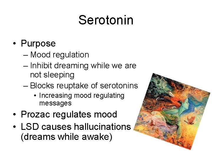 Serotonin • Purpose – Mood regulation – Inhibit dreaming while we are not sleeping