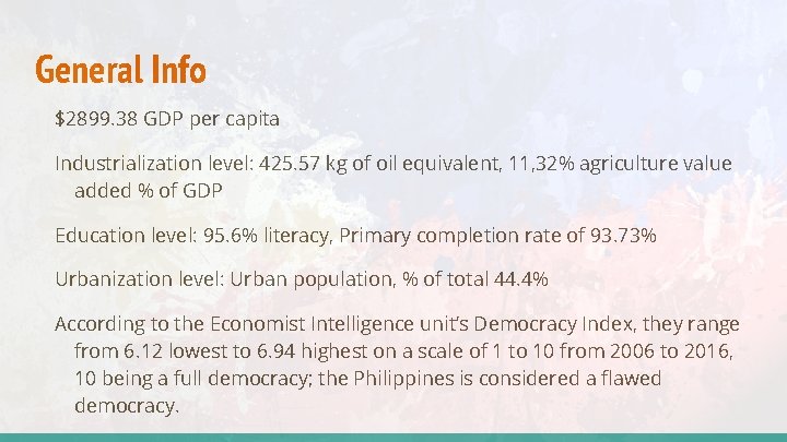 General Info $2899. 38 GDP per capita Industrialization level: 425. 57 kg of oil