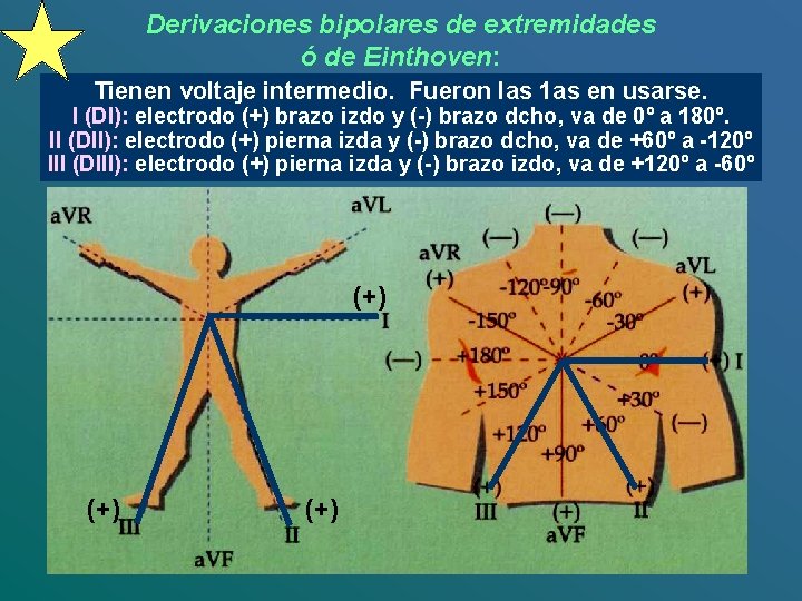 Derivaciones bipolares de extremidades ó de Einthoven: Tienen voltaje intermedio. Fueron las 1 as