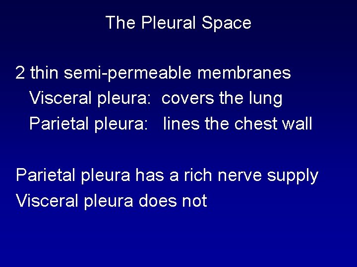The Pleural Space 2 thin semi-permeable membranes Visceral pleura: covers the lung Parietal pleura: