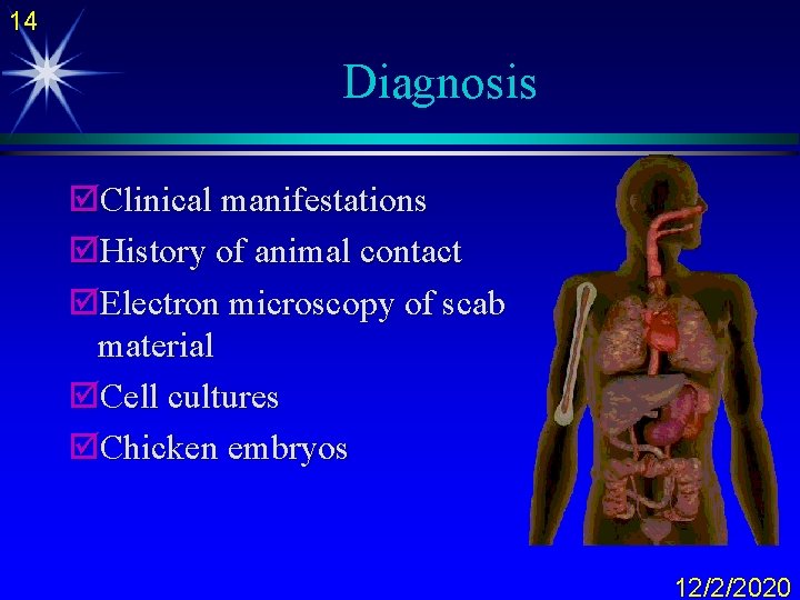 14 Diagnosis þClinical manifestations þHistory of animal contact þElectron microscopy of scab material þCell