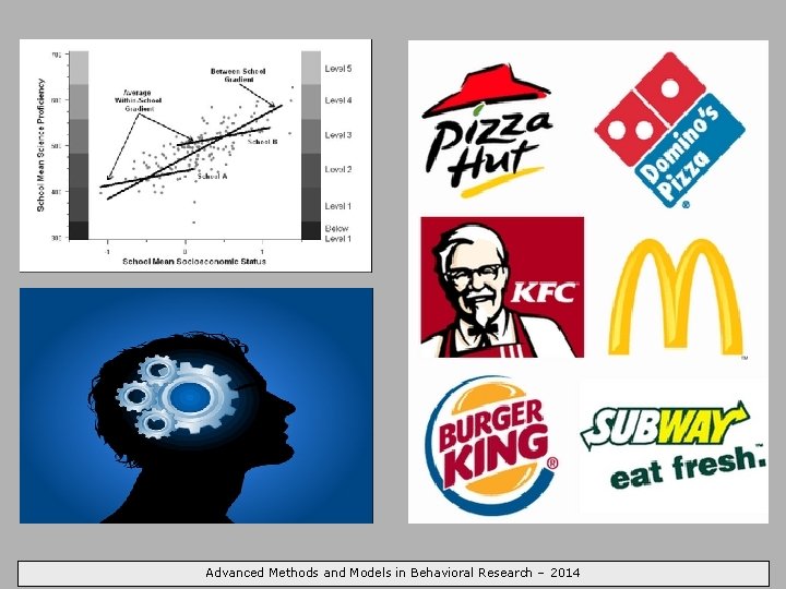 Advanced Methods and Models in Behavioral Research – 2014 