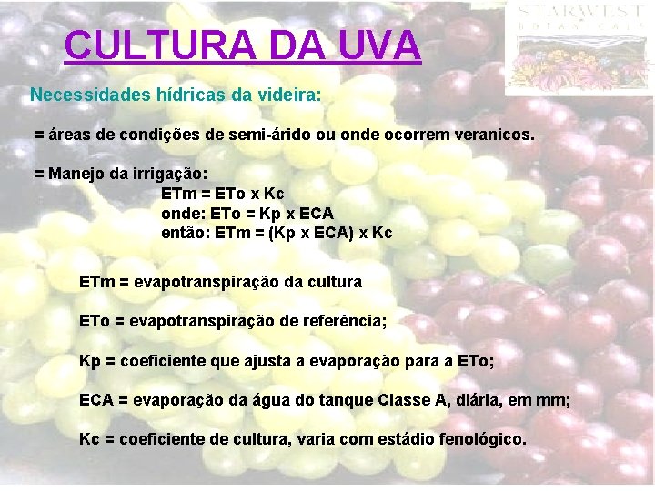 CULTURA DA UVA Necessidades hídricas da videira: = áreas de condições de semi-árido ou