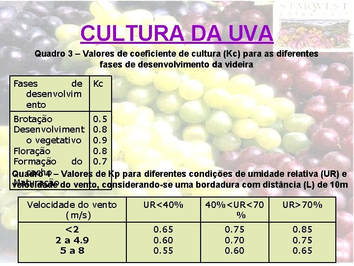 CULTURA DA UVA Quadro 3 – Valores de coeficiente de cultura (Kc) para as